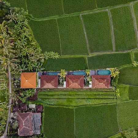 Airsania Ubud Antique Villas Εξωτερικό φωτογραφία