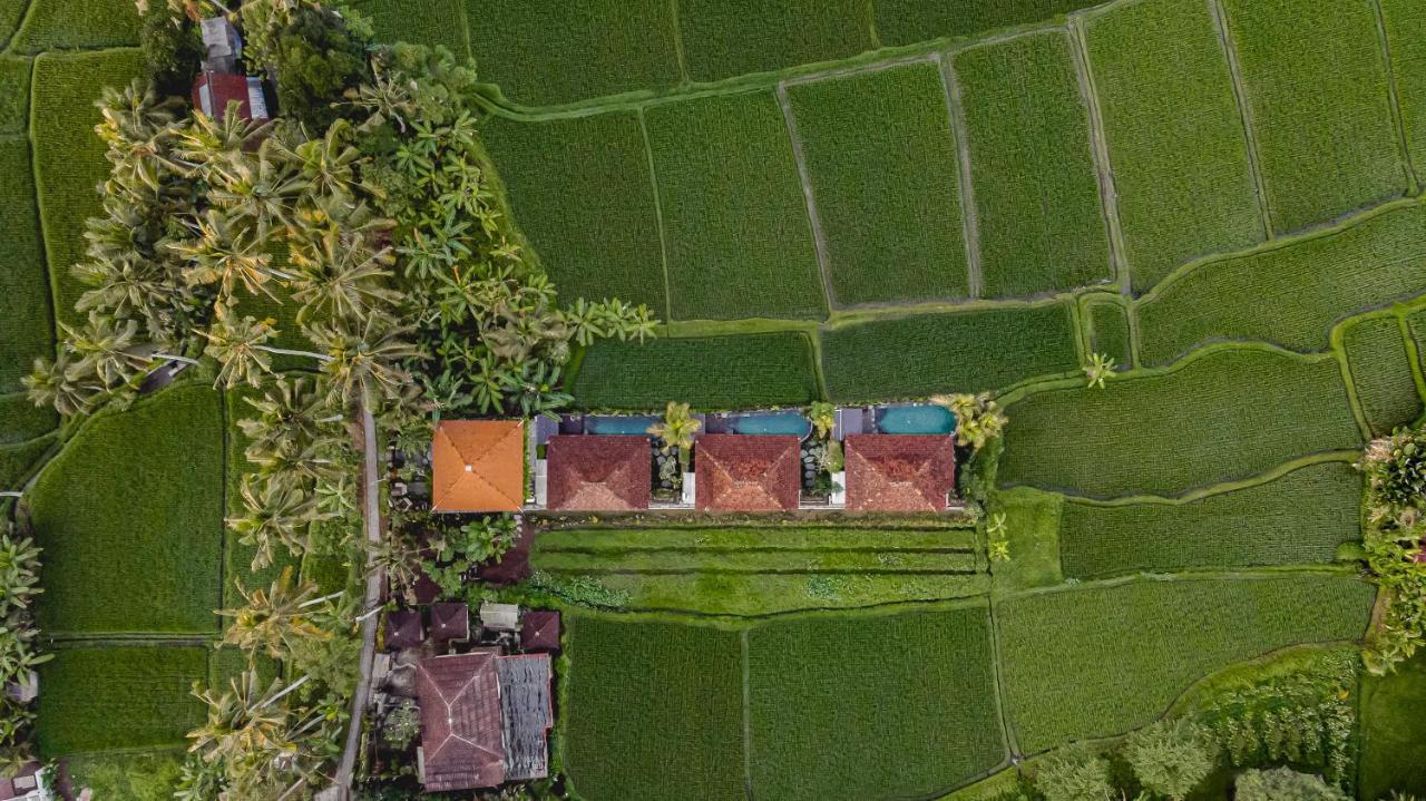 Airsania Ubud Antique Villas Εξωτερικό φωτογραφία